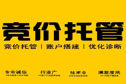 SEO与SEM服务结合的实战案例